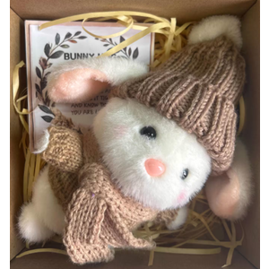 Mini Bunny Hug Cute Easter Gift Plush 2025 Bunny in a Box Hugs Positive Bunny Stuffed Animal Rabbit Soft Floppy Easter Ideas Bunnies Basket Stuffers Doll Emotional Support Inspirational Gifts 
