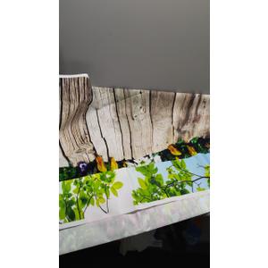 EOA 7(W) x5(H) FT Wooden Plank Lights Rustic Park Backdrop Green Plants Garden Picnic Leisure Photography Background - Great for Birthday, Studio, Booth, Party, Events, Portrait Use Props