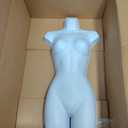 SSWBasics Female Mannequin Torso - Fits Womens Sizes 5-10 - Molded, Shatterproof & White