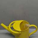 Metal Watering Can with Removable Spout, Galvanized, Perfect for Indoor and Outdoor Use (1 Gallon, Yellow)