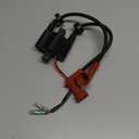 Ignition Coil For Yamaha 6 8 9.9 15 20 25 30 40 HP Outboard 6HP 8HP 9.9HP 15HP 20HP 2/4-Stroke 65W-85570-01/00,680-85570-09/02/01/00,689-85570-21/20,6E7-85570-19/10,6F5-85570-12/13,6G8-85570-21/20