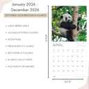 3 x 2026 Panada Wall Calendar | 12" x 24" Open | Animal Photography Thick & Sturdy Paper for Organizing & Planning | Office Kitchen Decor or Gift | Pacific Waters Press (Pandas)