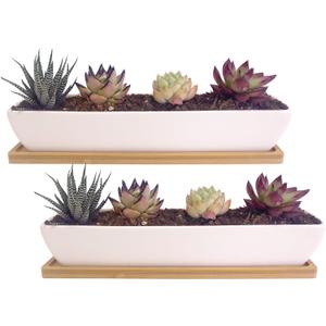 2 pcs 11.1 inch Long Rectangle White Ceramic Succulent Planter Pots/Mini Flower Plant Containers with Bamboo Saucers Plant Window Boxes for Office/Home, 11 x2.28x1.73inch