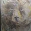 Stupell Industries Abstract Watercolor Brown Bear Portrait Wild Forest Animal, 36 x 48, Design by Kamdon Kreations