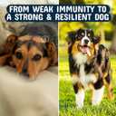 Pets are Kids Turkey Tail Mushroom for Dogs with Organic Real Turkey Tail - 8:1 Extract Mushroom Chews for Lumps & Bumps, Immunity, Gut, Skin, Joint & Spine Support - Reishi, Lions Mane - 60 Chews, Expiry: 03/2028