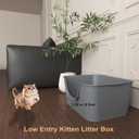 Low Entry Cat Litter Box with High Sides - Open-Top Anti-Splash, Durable Easy-Clean Pan for Kittens, Munchkin Cats, Senior Medium-Sized Cats & Small Pets (Rabbits), 19.3x13.3x7.8 Grey