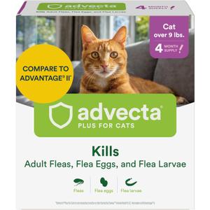 Advecta Plus Topical Large Cat Flea Treatment for Cats and Kittens, Flea Prevention and Control, Fast-Acting Waterproof Drops, 4-Month Supply (Large Cats (Over 9 lbs) 4 Dose)