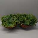 2 Set Artificial Hanging Fern Plants Outdoor Fake Hanging Ferns Planter, UV Resistant Faux Fern Plant Baskets for Outdoors Patio Garden Home Decor (Plastic, 2)