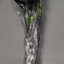 32 inch Pooper Scooper for Large Dogs Long Handle, Dog Pooer Scooper for Yard No Bending Save Back, Ease of Pickup Grass Friendly, Easy to Clean, Sturdiness (Meadow Green)