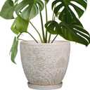 MPotTo Ceramic Planter 8 Inch Plant Pot with Drainage Hole and Saucer Ceramic Pots for Indoor Plants Outdoor Large Flower Pot for Home Decor White