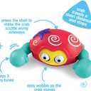 Early Learning Centre Push n Go Crab, Physical Development, Stimulates Senses, Kids Toys for Ages 06 Month, Amazon Exclusive