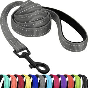CollarDirect Nylon Dog Leash 5ft for Daily Outdoor Walking Running Training Heavy Duty Reflective Pet Leashes for Large, Medium & Small Dogs (Grey, Medium)