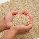 Mr. Fireglass Natural Silica Sand for Fire Pits, Fireplaces, Garden and Landscape Decoration, Fireproof Base Layer Fire Sand Gas Fire Pits Filler Under Lava Rock or Fire Glass (14-20 Mesh,10 Pounds)