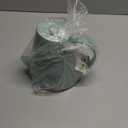 Watering Can for Indoor and Outdoor Plants - Long Spout Water Can for Garden, Flower, House Plants - 1.8L/1/2 Gallon (Green)