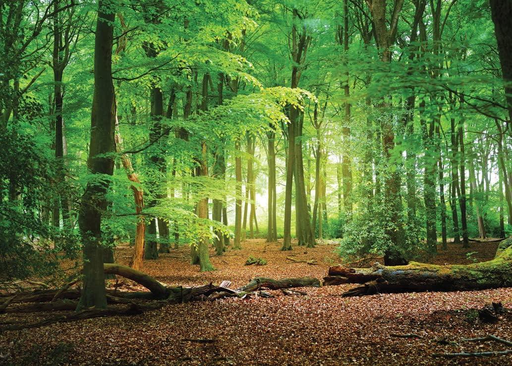 SJOLOON 10X8ft Spring Green Forest Thin Vinyl Photo Backdrops Camping Themed Baby Shower Photography Background Studio Props 10516