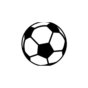 Soccer Balls 4 items