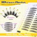 LA MAESII Lash Clusters,Manga Eyelash Clusters,168Pcs Cat Eye Lashes 43-C | 10-14mm,Large Tray,Natural Look,Wispy,Soft Band,Reusable Cluster Eyelash Extensions