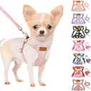 SlowTon No Pull Dog Harness with Leash - Soft Lightweight Floral Pattern Puppy Harness, Adjustable Pet Harness for Small Medium Dogs (Pink Daisy XXS)