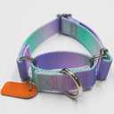 Martingale Dog Collar Colorful Gradient Fashionable - Anti-Escape Soft Durable Pets Collar for Walking Training Outdoor Daily Use -Large, Purple Green
