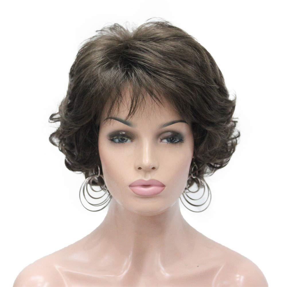 Aimole Short Curly Synthetic Wigs Full Capless Hair Women's Thick Wig for Everyday (8 Lt Chestnut Brown)