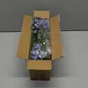 Yastouay Babys Breath Artificial Flowers, 30 Pcs Blue Baby Breath Flowers Artificial Bulk, Real Touch Fake Babys Breath Gypsophila for Wedding Party Bouquet Floral Arrangement Home Decor