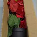 Poinsettias Flowers Artificial 2 Pack Red Faux Christmas Poinsettia Plant Small 11 Inch Winter Flowers for Home Office Table Decorations Indoor Xmas Ornament