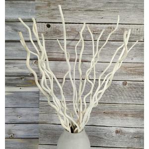21-23 Inch Dried Natural Curly Willow Branch 15 Pcs Decorative Twisted White Sticks, 3 Pieces Mini Real Gourds for Home Decor (thick)
