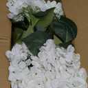 8 Pcs Hydrangea Artificial Flowers Outdoor Silk Bouquets, UV Resistant Faux Hydrangeas Flowers for Table Vase Centerpieces Outside Party Wedding Baby Shower Home Indoor Outdoor Decor (8, White)