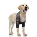 Hilltown Dog Elbow Brace for Shoulder & Front Leg, Canine Elbow Wrap for Shoulder Dislocation, Pressure Sores, Elbow Injury and Loss of Stability from Arthritis-Both Legs XS