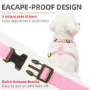 PUPTECK Dog Harness and Leash Set, No Pull Adjustable Pet Small Dog Harness, Reflective Soft Mesh Pet Vest, for Small Medium Dogs Walking, Pink, XS