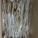 Vickerman Natural Botanicals 20" Lily on Stem. Includes 50 Stems per Pack