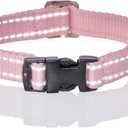 Pet Passion Adjustable Reflective Dog Pet Collar for Small, Medium and Large Dogs, Pink, X-Small