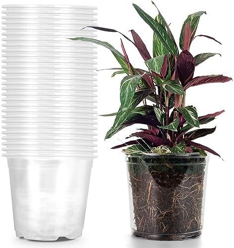 RAOOKIF 1 Gallon Pots with Drainage Holes, 7 Inch Clear Nursery pots, 1 Gallon Plastic Plant Pots for Seedlings, Clear Seed Starters, and Flower Planting
