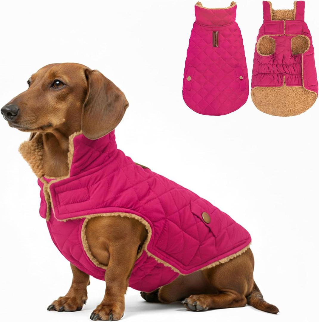 azuza Dog Jacket Waterproof & Windproof Dog Coat for Dogs with Thick Fleece, High Collar with Leash Hole, Adjustable Velcro & Elastic Belly, Rose Red, Size: L