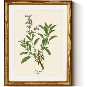 InSimSea Gold Bamboo Framed Canvas Wall Art, Vintage Watercolor Sage Herbs Prints, Antique Picture Frame with Mat, Victorian Home Wall Decor for Kitchen Dining Living Room Bedroom, 11x14inch