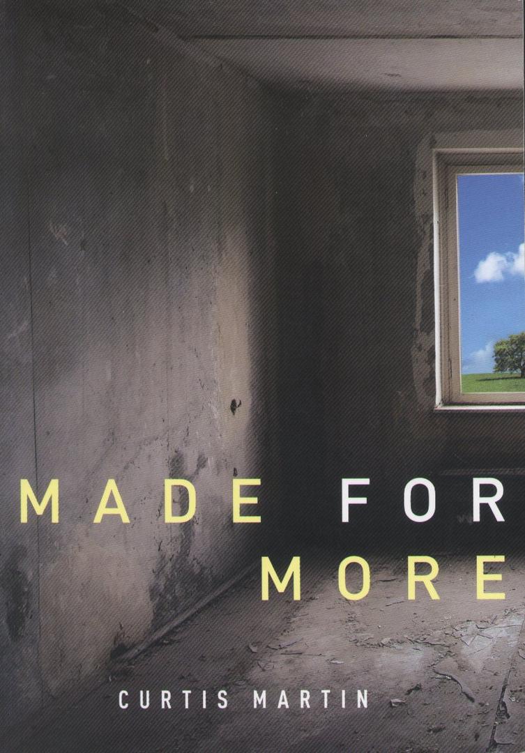Made for More (Book)