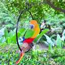 Hanging Parrot Statue Sculpture On Metal Round Ring Decor for Patio Garden Lawn and Nature Lovers Tropical Bird Collectors by Gifts