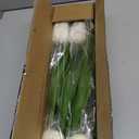 Yastouay 12-Pack White Tulips Artificial Flowers, Real Touch Latex Faux Tulips with Large Full Buds, Lifelike Vibrant Fake Tulips Bouquet for Spring Wedding Home Dcor, Table & Party Centerpiece