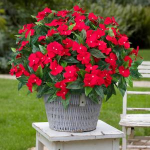 5 Pcs Artificial Flowers for Outdoors Silk Impatiens Flowers Bouquet Decorations Fake Faux Plants UV Resistant for Spring Summer Garden Patio Porch Window Box Balcony Planters Home, Red