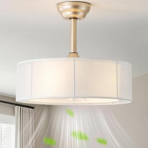 20" Caged Fandelier Ceiling Fans with Lights, Gold Boho Chandelier Ceiling Fan with Light Remote Control with 6 Speeds for Bedroom, Living Room, Nursery