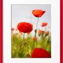 eletecpro 16x20 Picture Frame, Display Picture 11x14 with Mat or 16x20 No Mat, Red Christmas Frame Made of Engineered Wood and Clear Acrylic, Large Poster Frame for Gallery Wall Decor