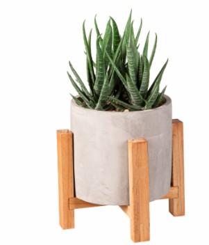 Bambeco 4x14 Succulent (Stand not included)