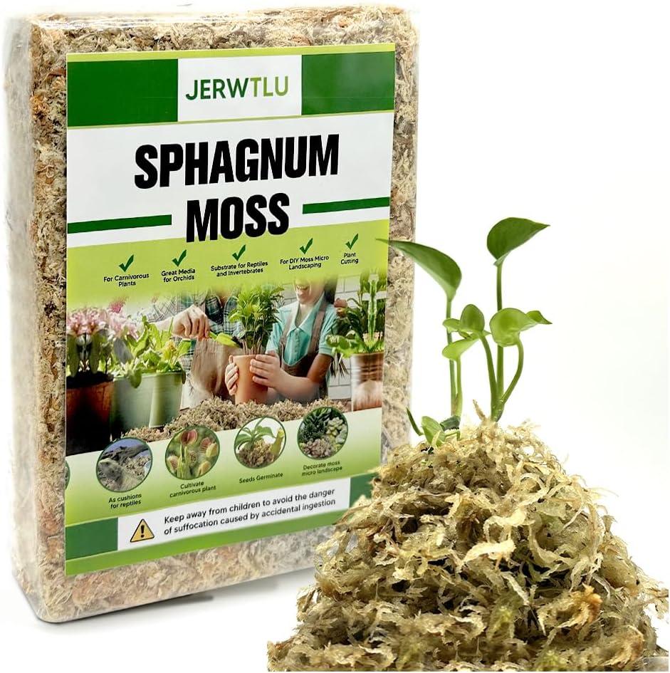 Natural Long Fiber Sphagnum Moss 34QT for Orchid Potting Mix, and Moss Pole for Plants Indoor. Ideal for Propagating Plants, Maintaining Humidity for Reptiles, Isopods in Paludarium, Aquascape (10 OZ)