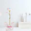 Unique Gifts for Sister, Pink Preserved Galaxy Rose with 4.23.15 Inch Acrylic Butterfly Stand - Delicate Sister Birthday