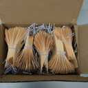 Manila Tags With Elastic String - #1, 2 3/4" x 1 3/8", Box of 250 Paper Labels With Reinforced Hole and Attached Loop, 250 Count