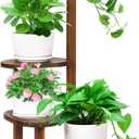 Jotboom Wooden Plant stand Indoor,4 Tier Oval Plant Shelf Corner Plant Stands for Indoor Plants,Tiered Plant Holder Flower Pot Stand for Balcony Bedroom Patio Office