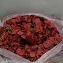 Hananona Artificial Geranium Flowers for Outdoors Geranium Silk Red Flower Outdoor UV Resistant Garden Plants Faux Flowers for Christmas Home Kitchen Table Centerpieces Decor