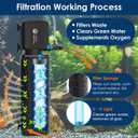 AquaMiracle Aquarium Filter with U - V Light & Filter Sponge, Fish Tank Filter with Timer for Green Water, Turtle Filter with Aeration & Rainfall Mode for Aquarium 10-30 Gallon