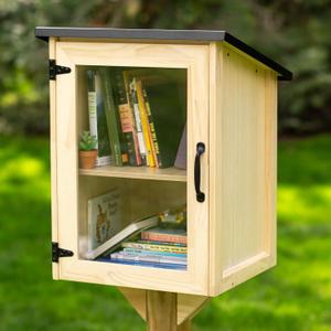 Ilyapa Outdoor Library Book Box - Free Literature Exchange Kit for Outside - Little Wood Cabinet for Sharing Books and Arts - 16x14x22 Inch