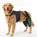 Dog Knee Brace for Back Leg, Adjustable Dog Leg Brace with 4 Stabilizers, Hip Support to Reduces Pain, Ligament Injuries & Luxating Patella & ACL CCL for Dogs, 2XL
